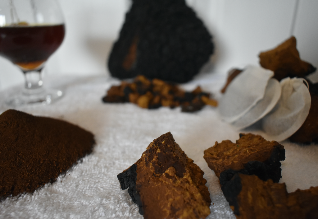 Chaga - The Secret Skin Cure